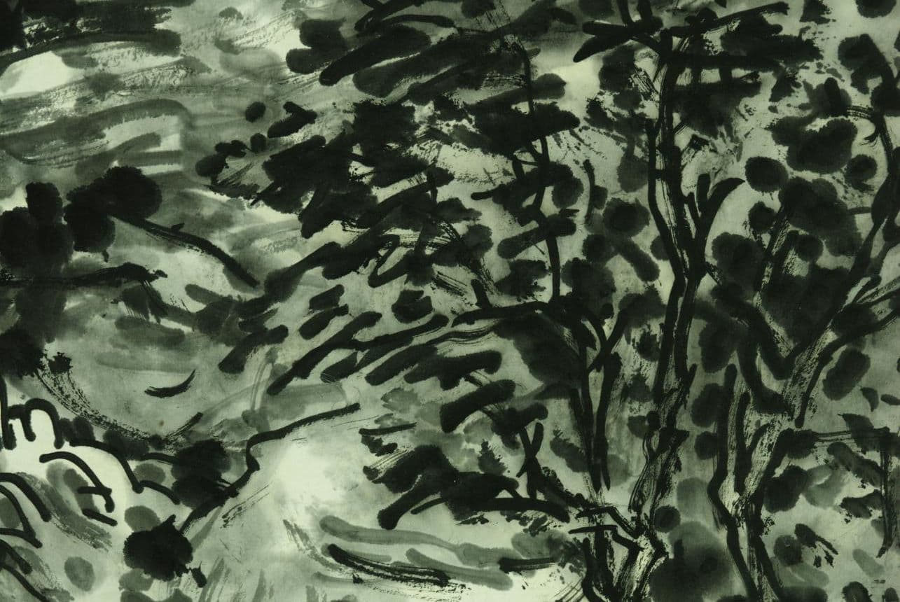 Understanding Chinese Ink: More Than Just Black and White