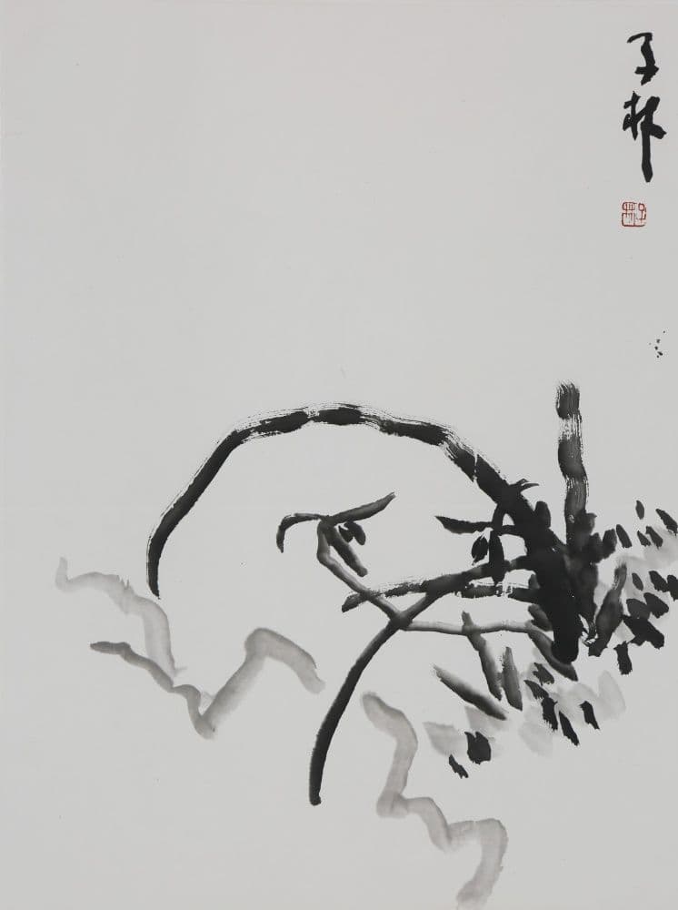 Ink Orchid