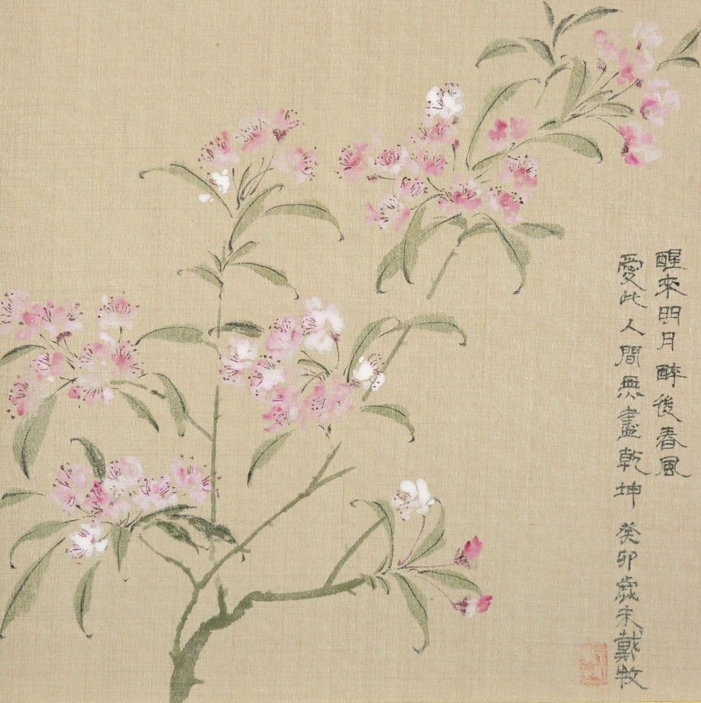 A Branch of Chinese Flowering Crabapple Blossoms