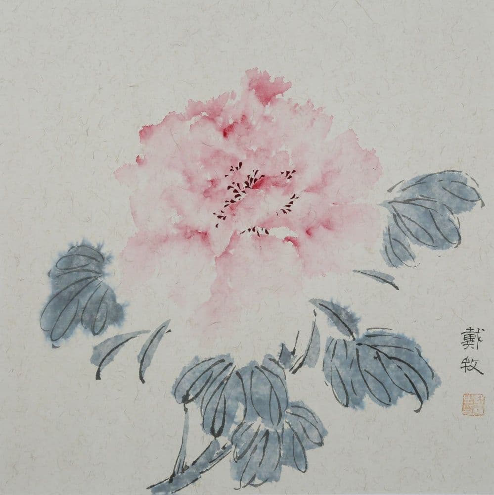 A Single Peony