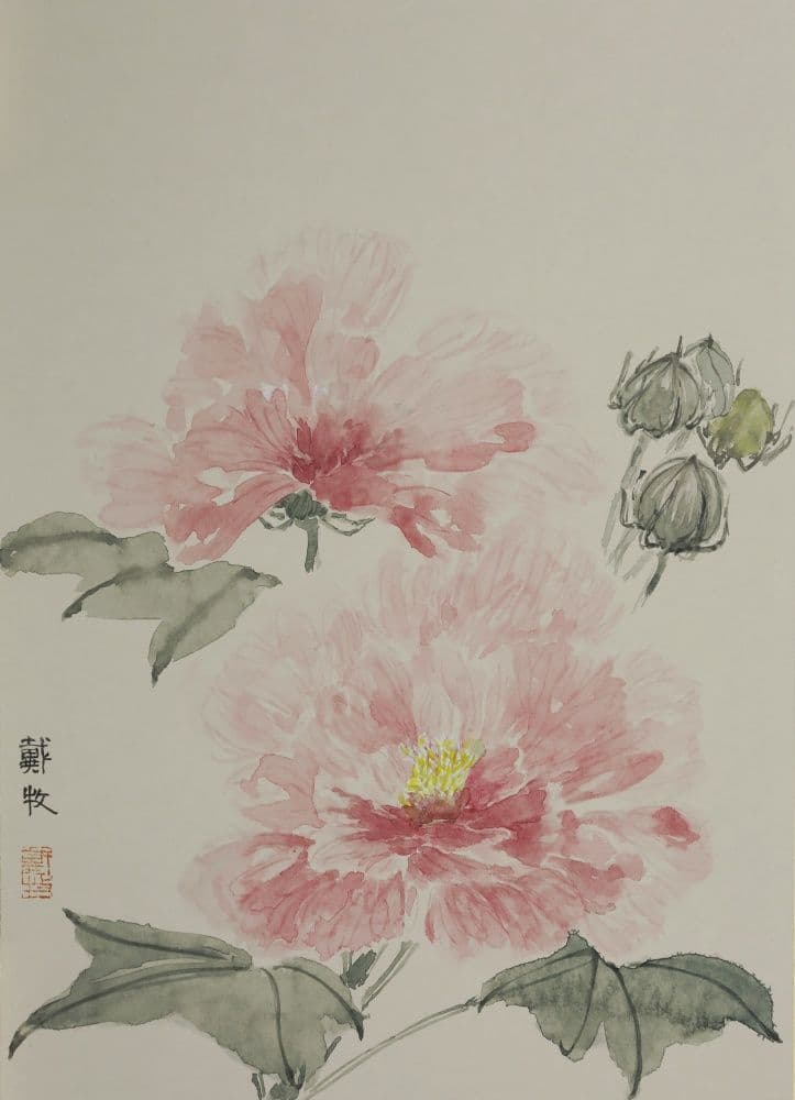 Hibiscus Flower