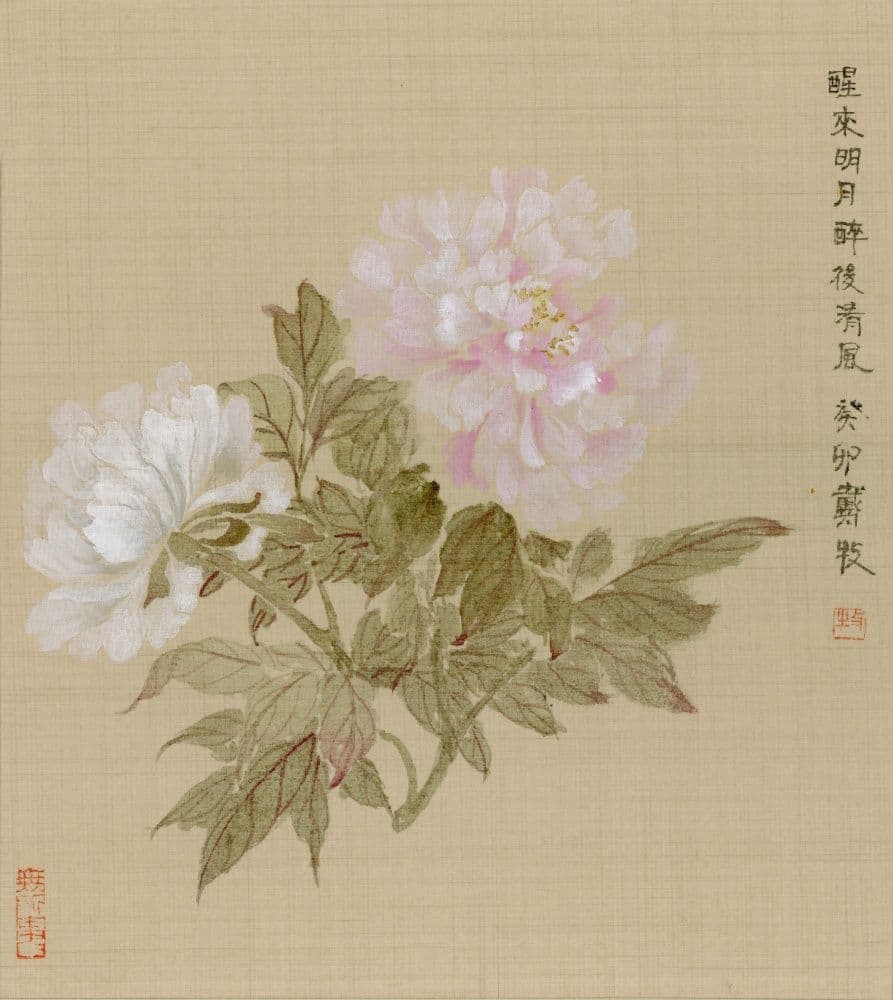 Peony