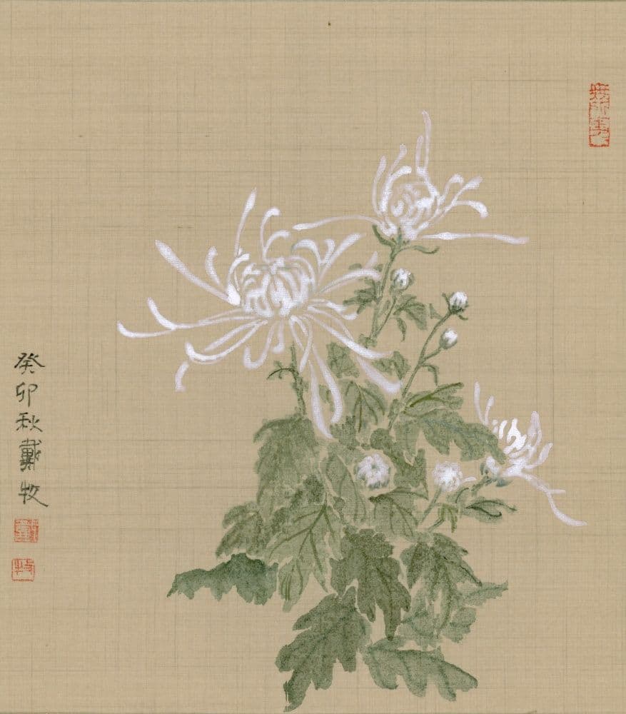A Branch of Chrysanthemum