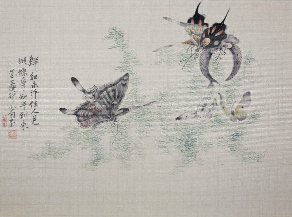 Dream of the Butterfly 1