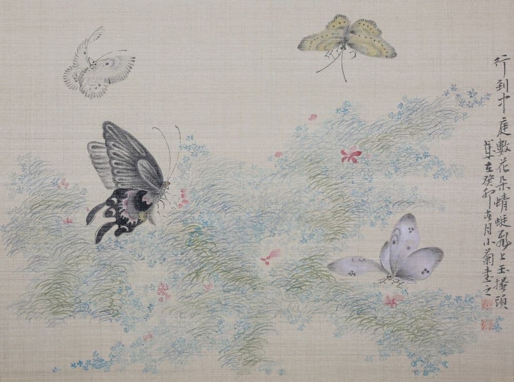 Dream of the Butterfly 2
