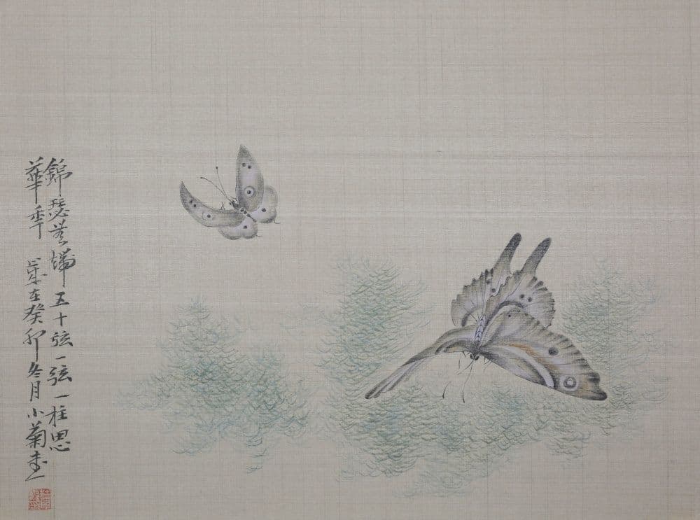 Dream of the Butterfly 4