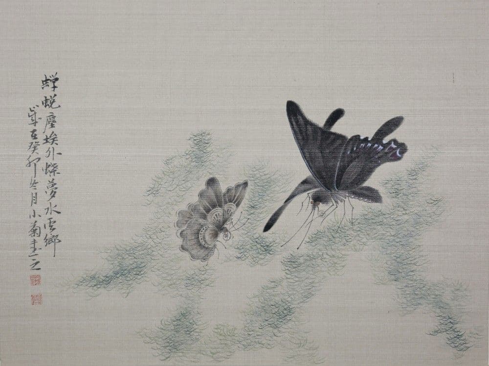 Dream of the Butterfly 5