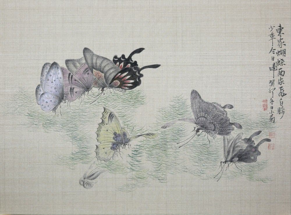 Dream of the Butterfly 6