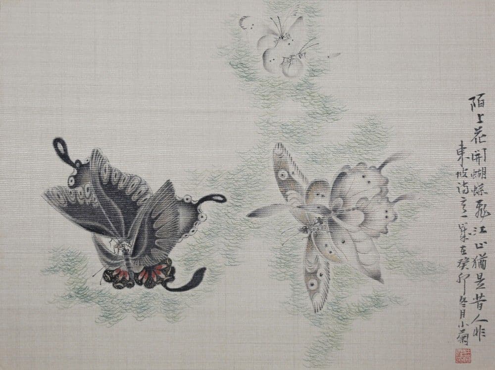 Dream of the Butterfly 7