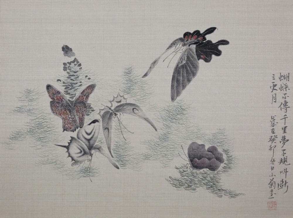 Dream of the Butterfly VIII