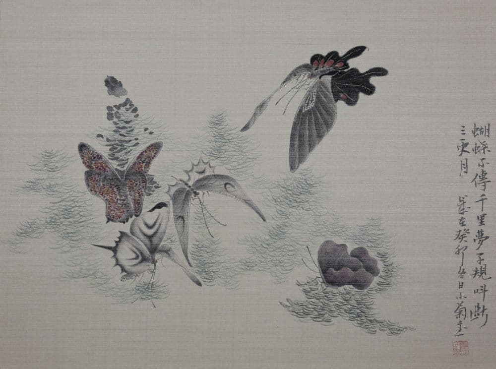 Dream of the Butterfly 8