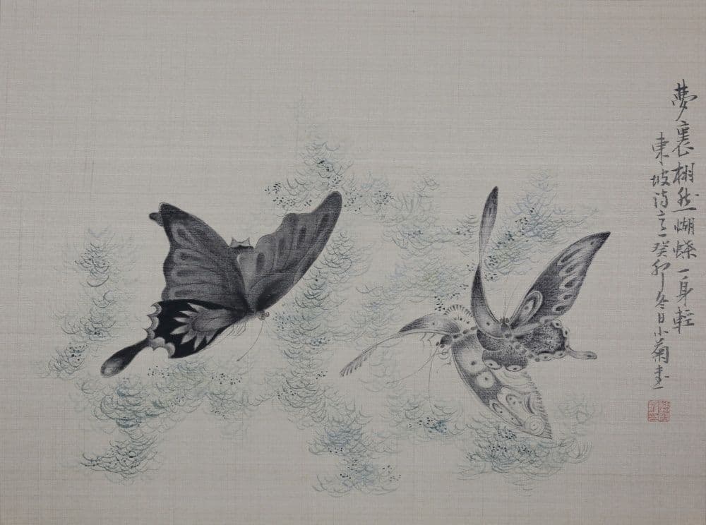 Dream of the Butterfly 9