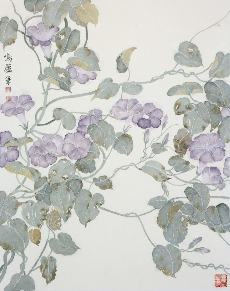 Trumpet Flower