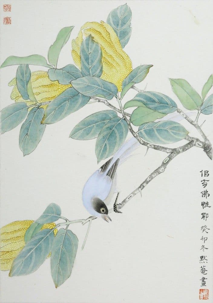 Buddha's Hand and Bird