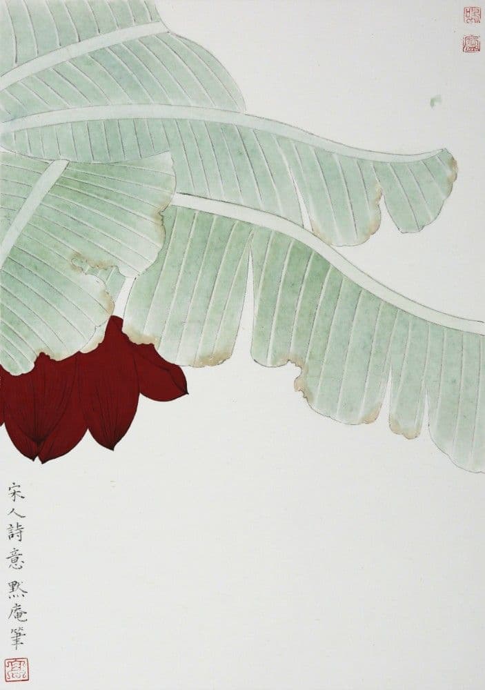 Banana Flower