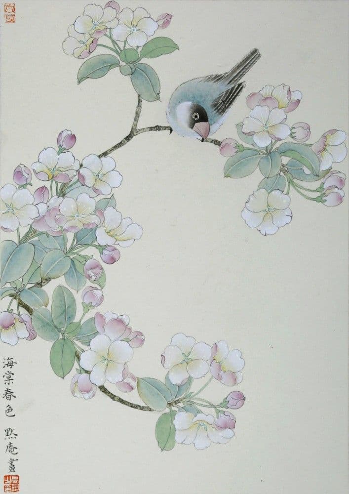 Chinese Flowering Crabapple and Bird