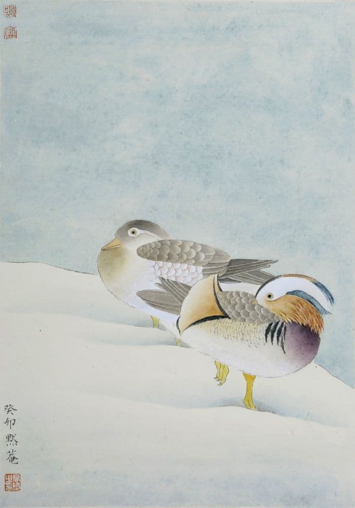 Mandarin Ducks in Snow