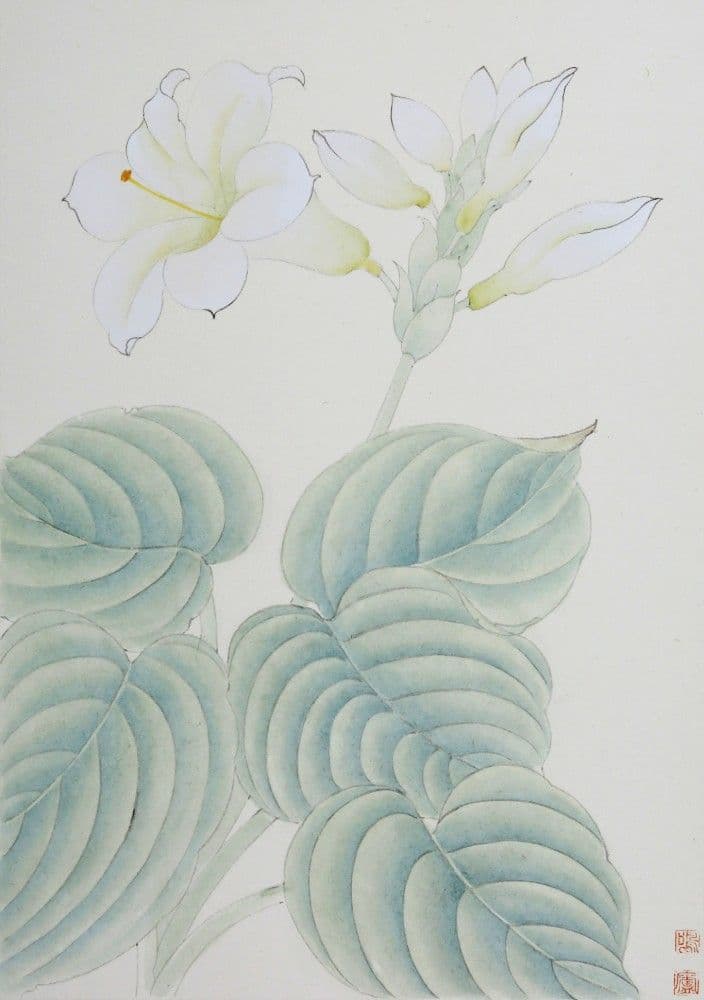 Hosta Flower