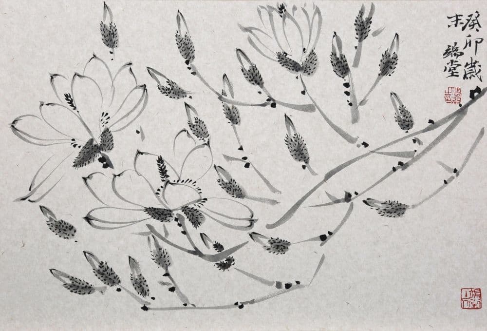 Magnolia
