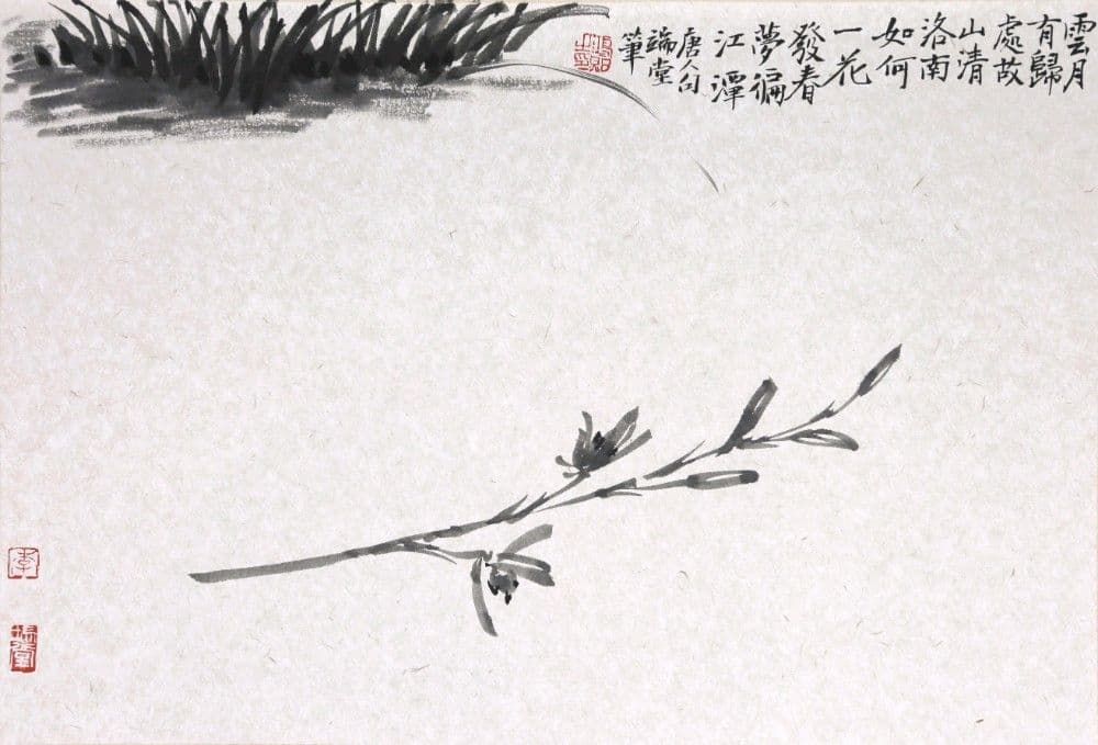 Orchid with a Broken Branch