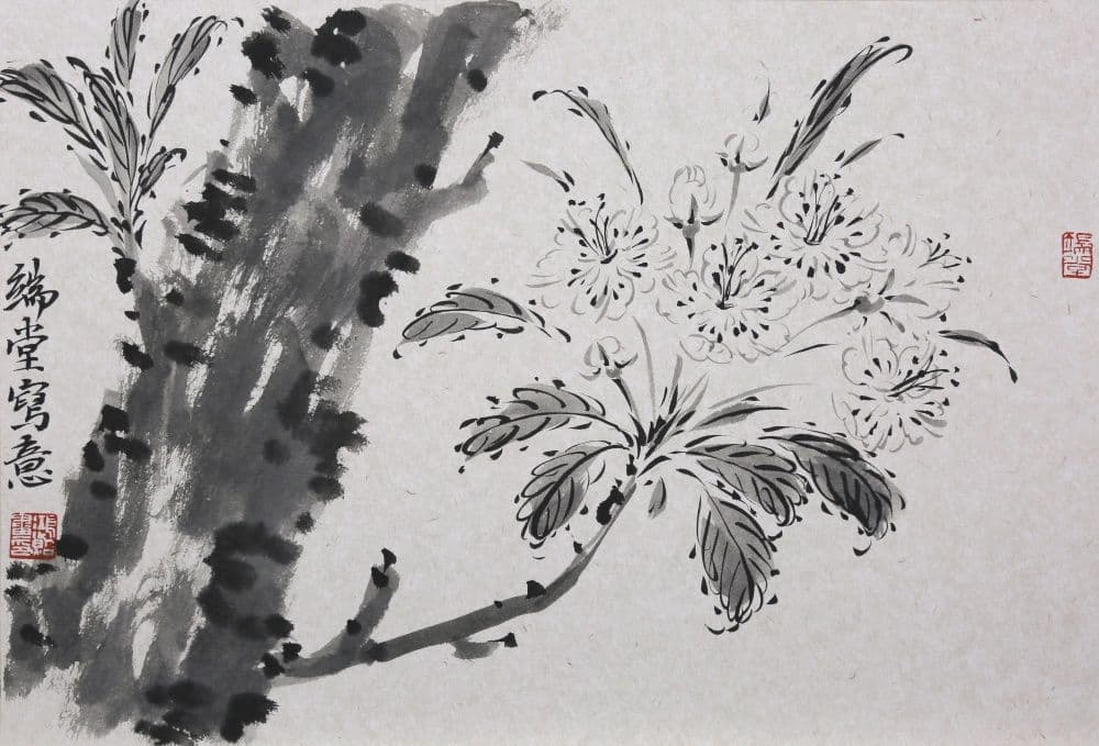 Pear Blossoms on an Old Tree