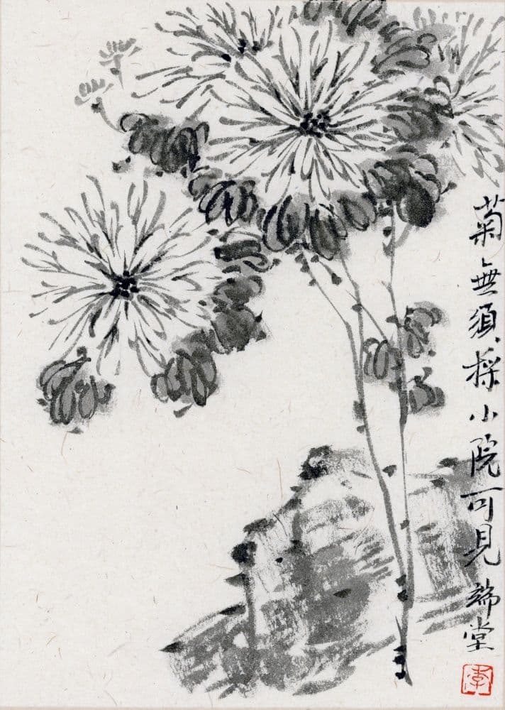 Chrysanthemums and Stones