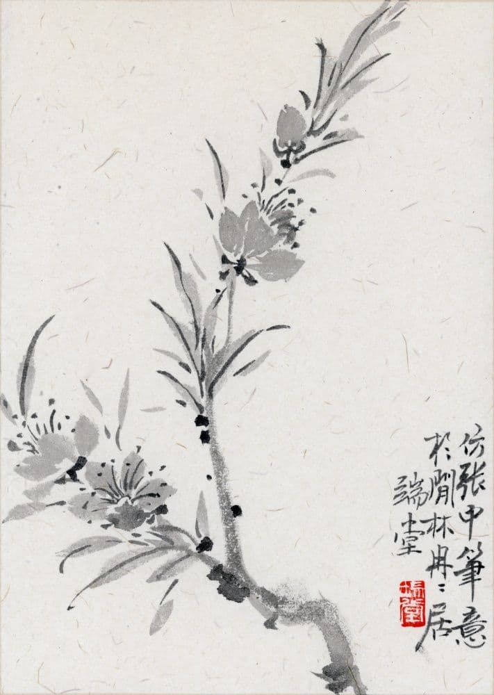 Peach Blossom