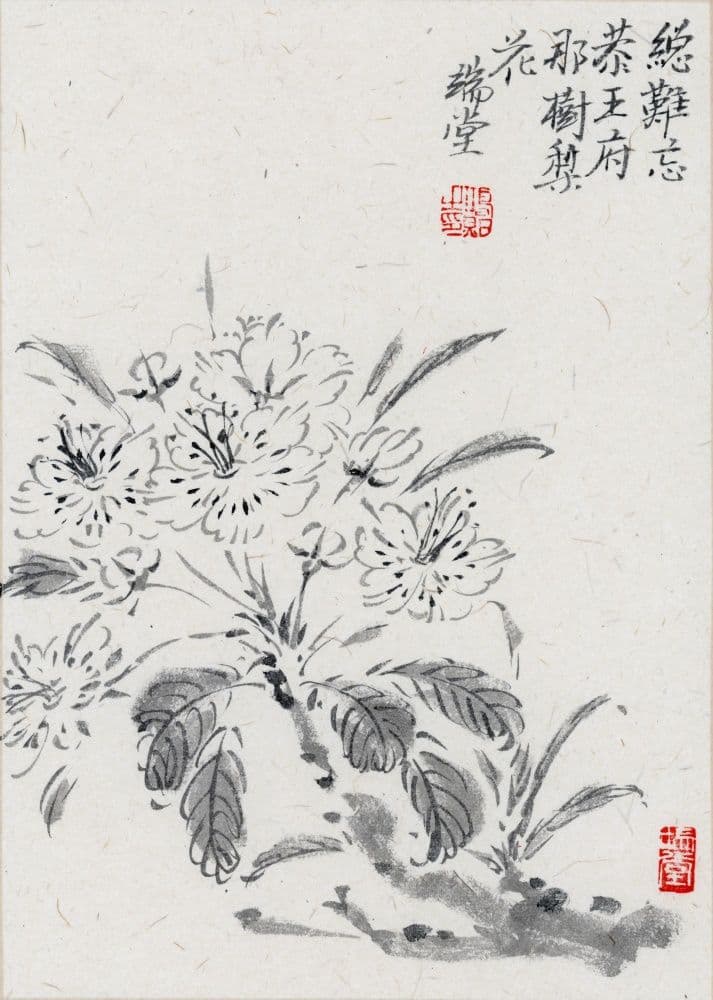 Pear Blossoms