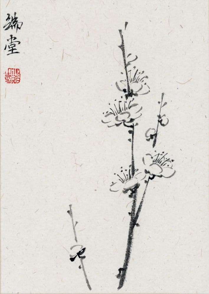 Plum Blossoms