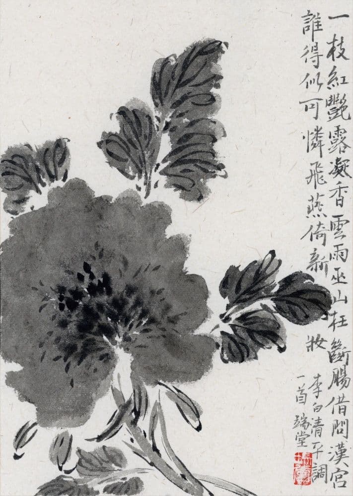 Ink Peony