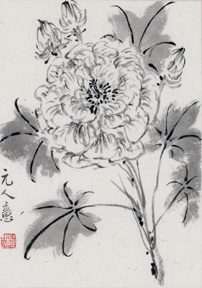 Hibiscus Blossoms