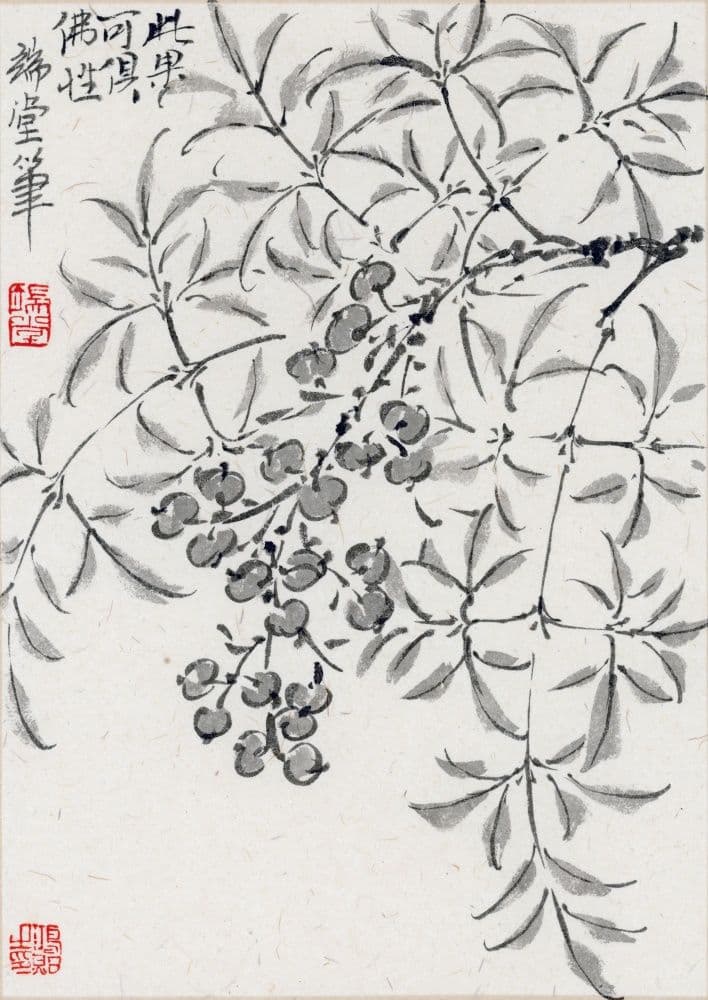 Heavenly Bamboo