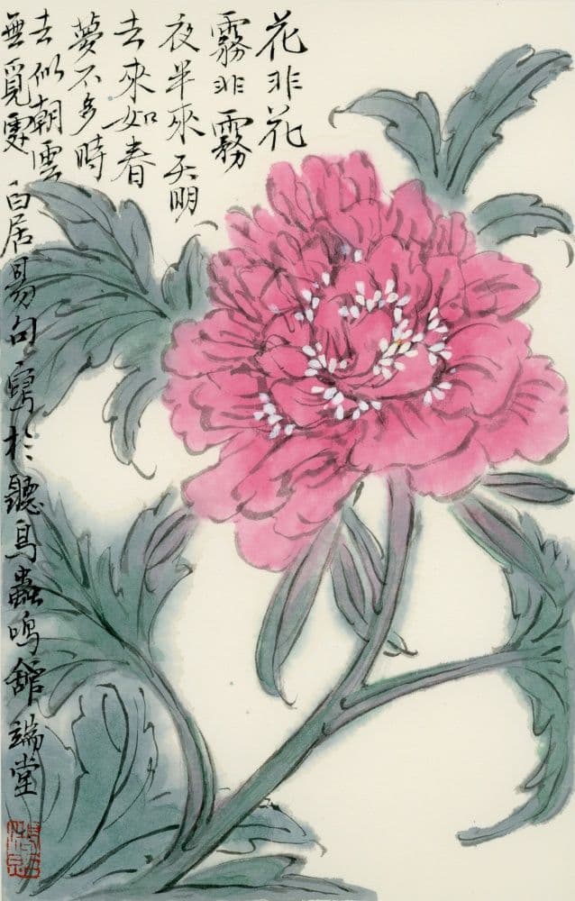 Peony