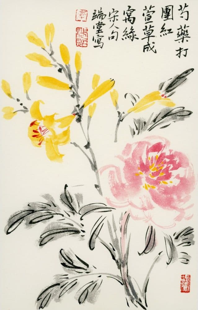 Daylilies and Peonies