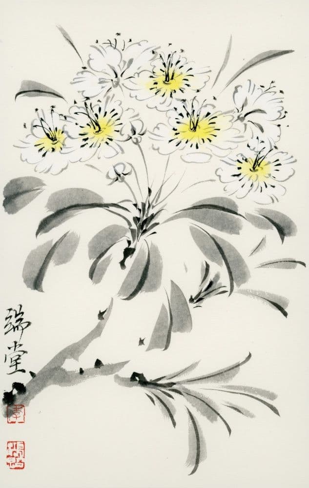 Pear Blossoms