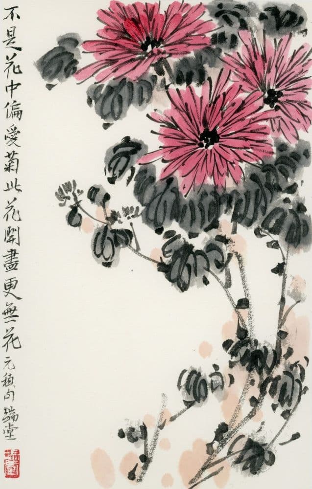 Red Chrysanthemum
