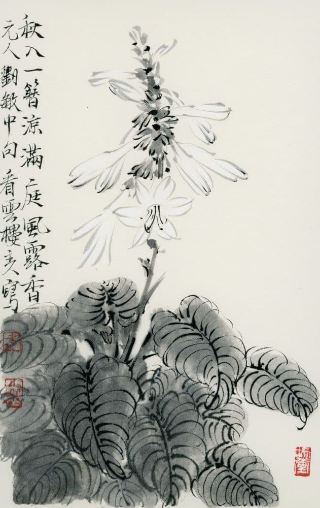 Hosta Flowers