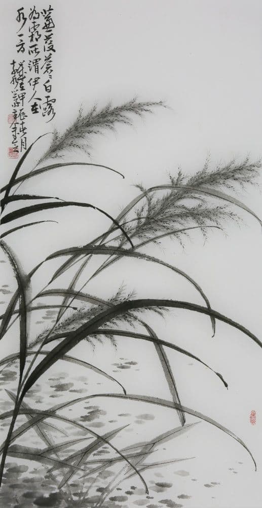 Reeds