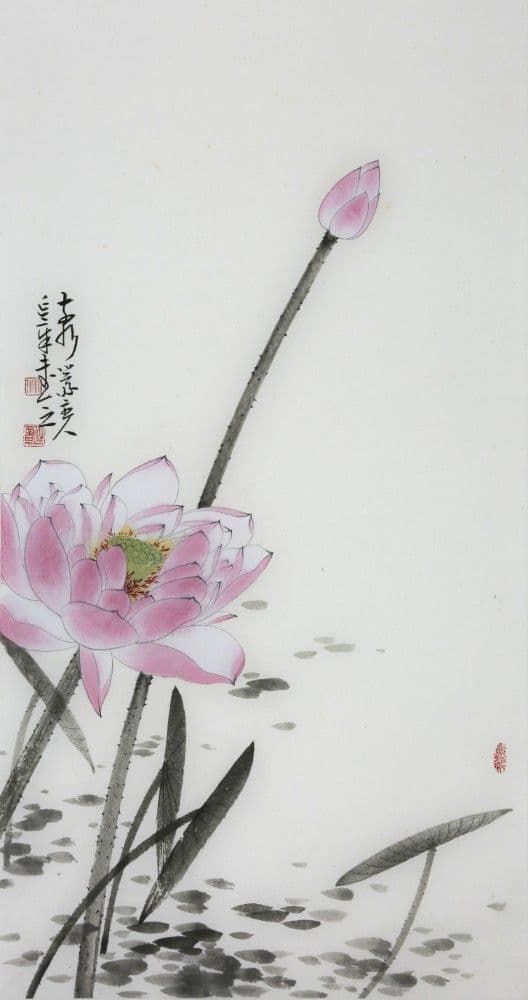 Lotus Flowers
