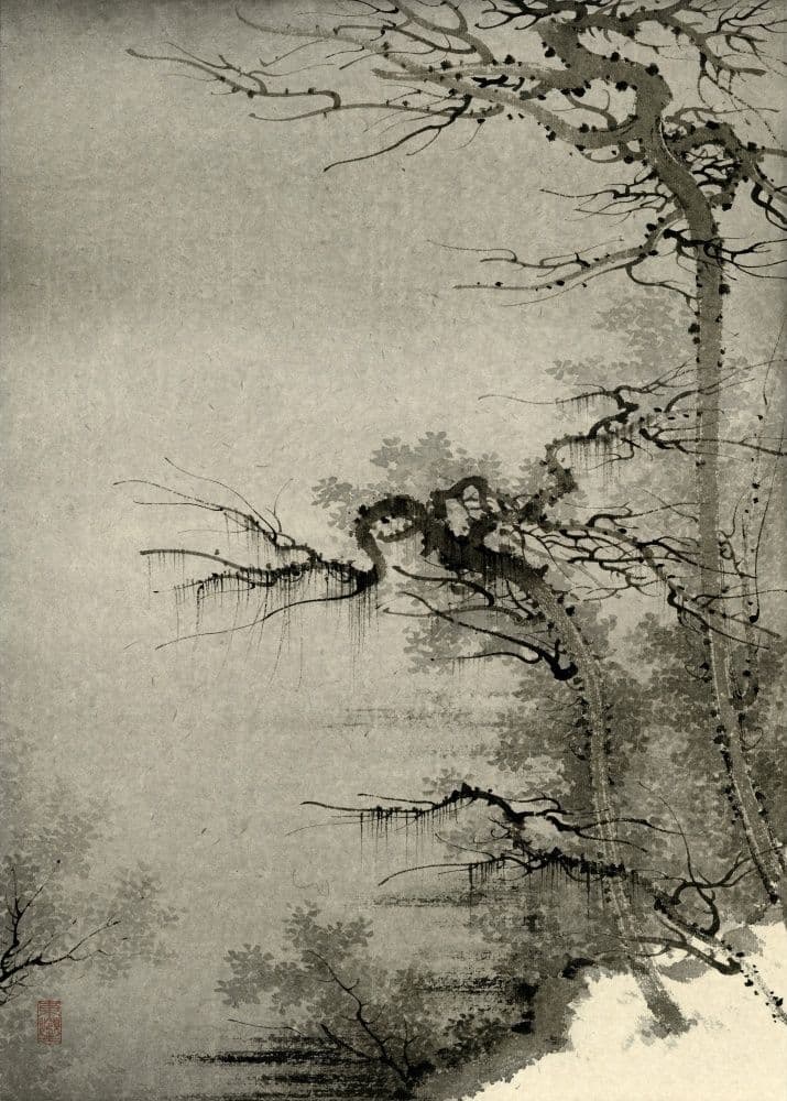 Two Trees by the River