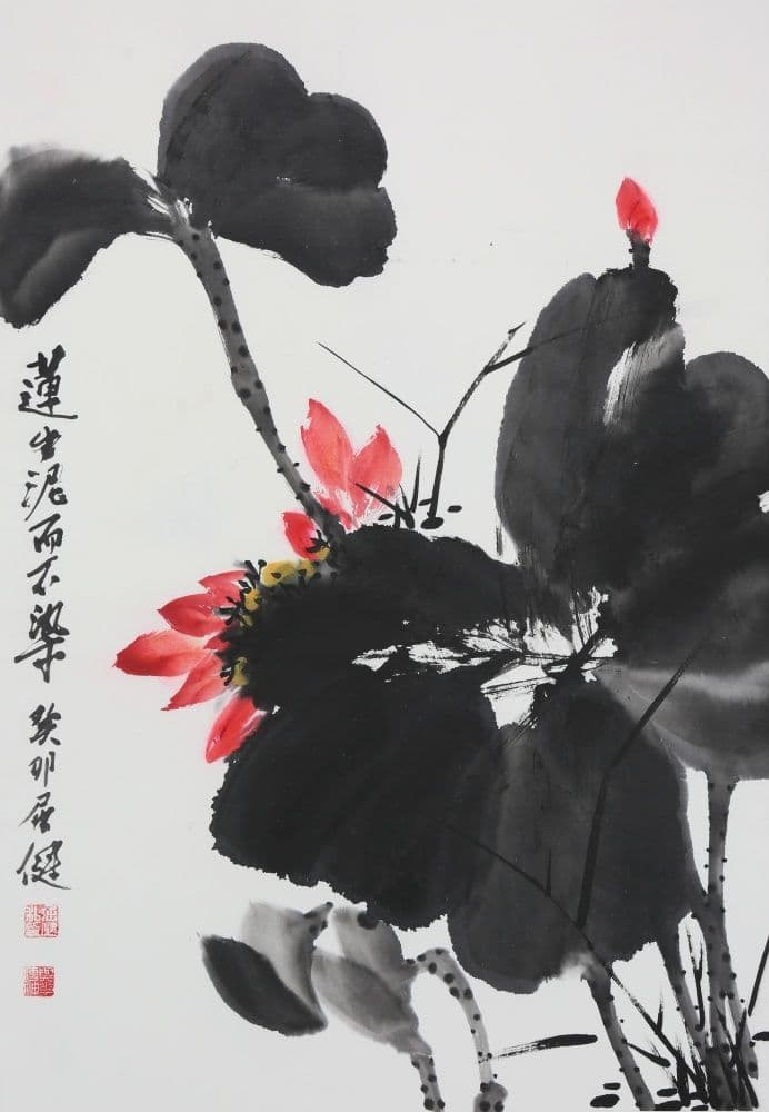 Lotus Flower