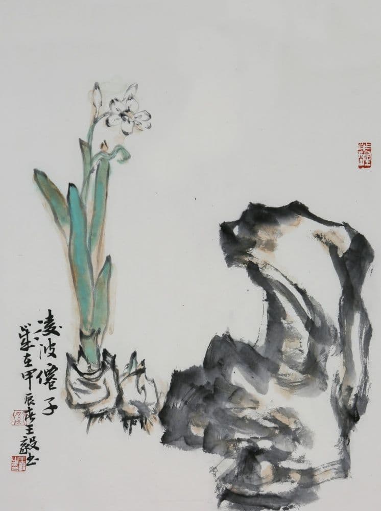 Narcissus
