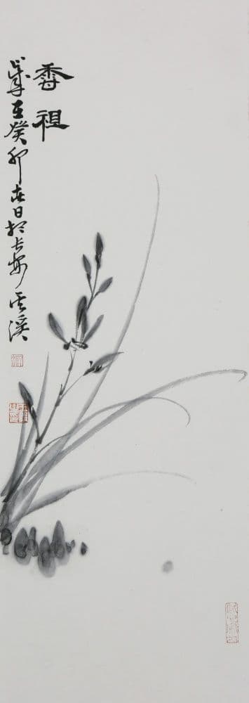 Orchid