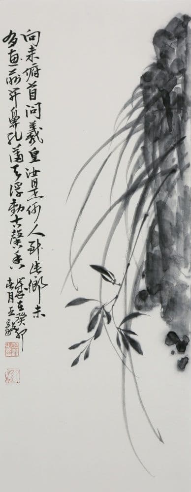 Orchid