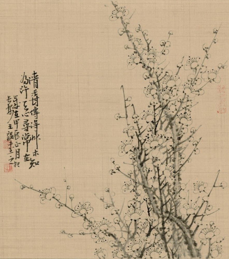 Plum Blossom II
