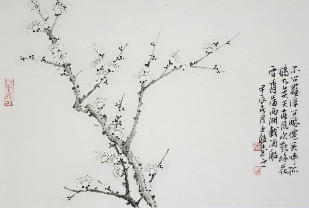 Plum Blossom