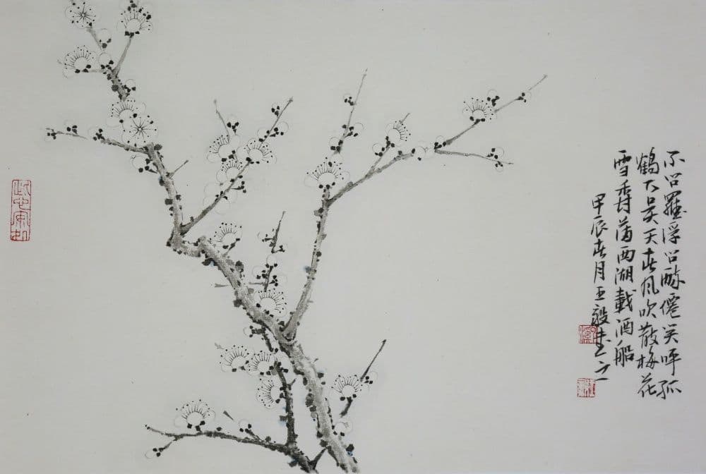 Plum Blossom V
