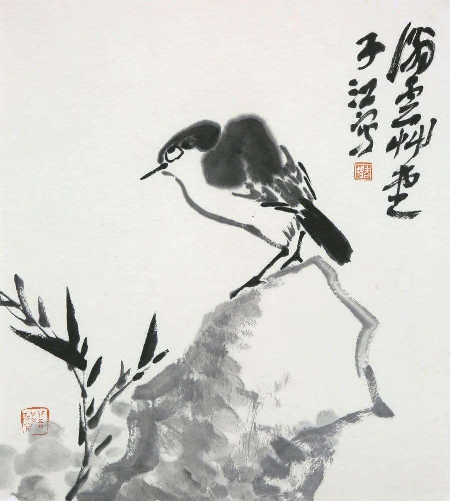 A Bird
