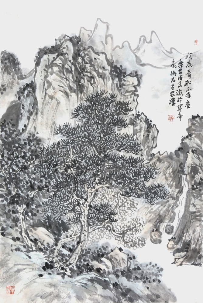 Pines in the Valley