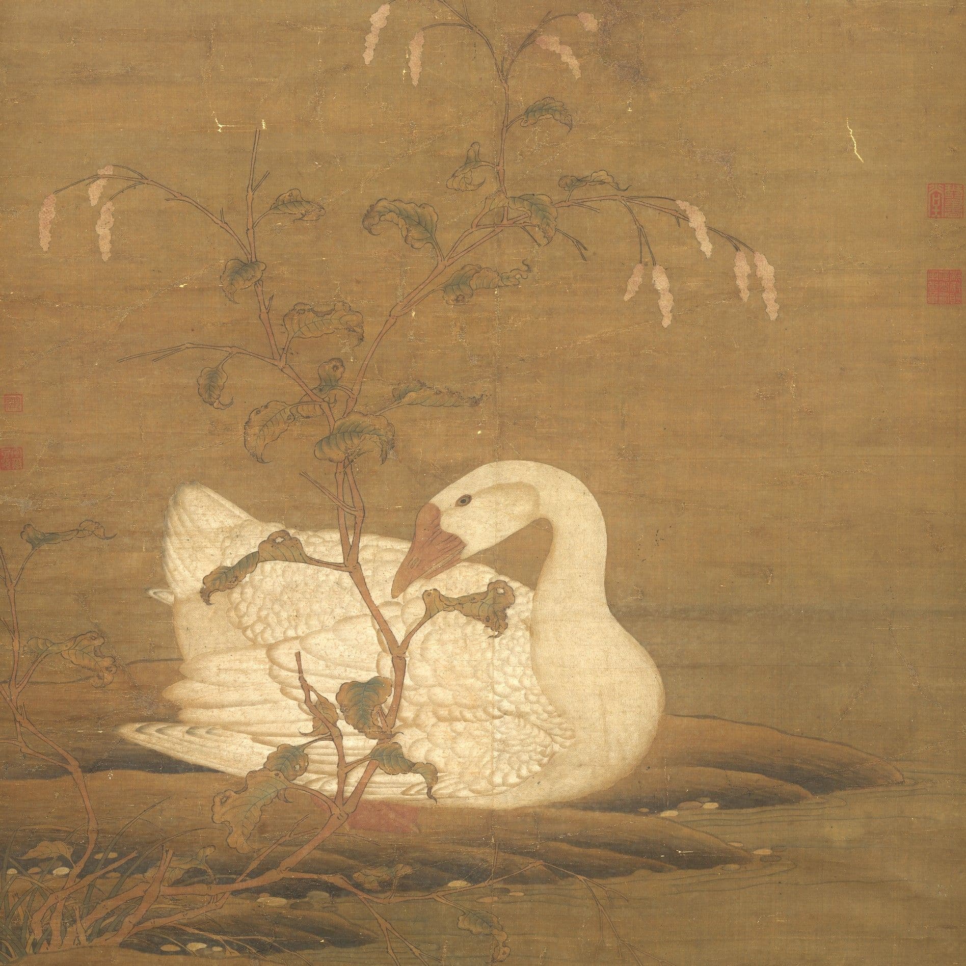 Flower and Bird